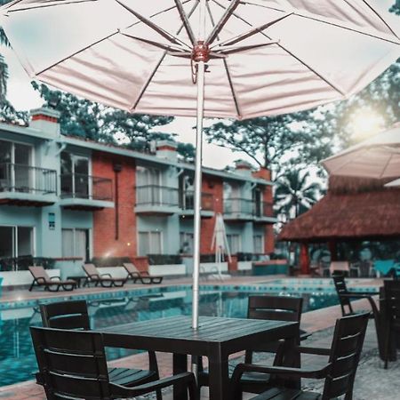 Hotel Y Restaurante Meson Del Gitano Caucasia Bagian luar foto